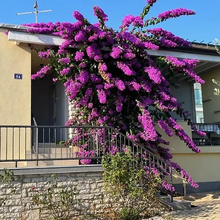 App Forza Apartman Umag