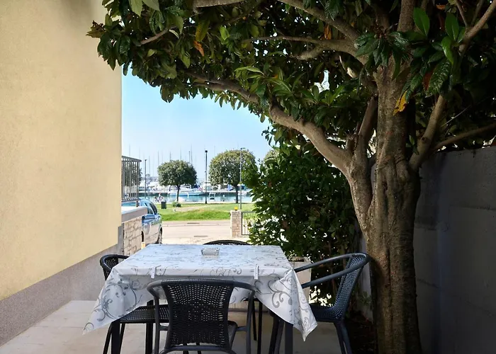 App Forza Umag