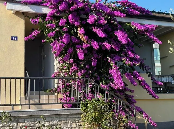 App Forza Apartament Umag