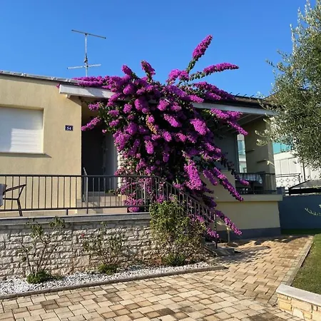 Apartmán App Forza *