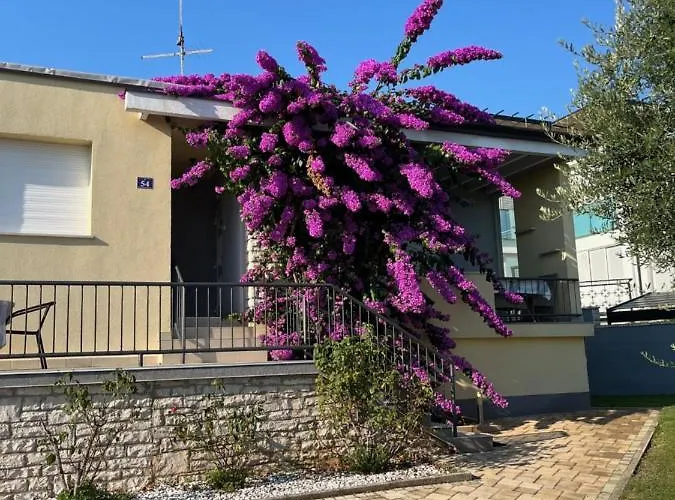 Apartman App Forza *